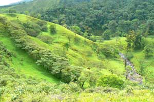 Acreage for sale at Lake Arenal, Costa Rica