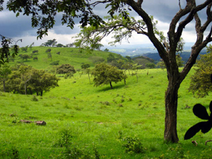 In the distance is the "Bajura," the western lowlands and Tempisque River Basin of Guanacaste.