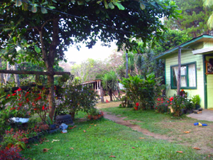 Flowering bushes, a pond, and fruit and shade trees provide a classic idyllic setting for the home.