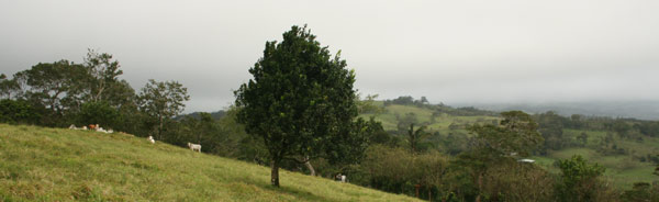 This beautiful property has views of Lake Arenal to the east.