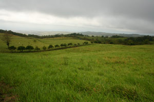 A majority of the property is beautiful useful rolling hilltop.