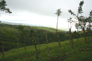 There are distant vistas to the coastal lowlands and northern volcanos.