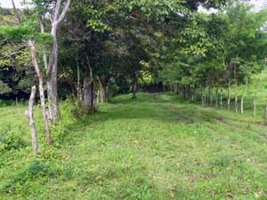 The entrance approaches a second cross-property creek on its way to the heart of the property.