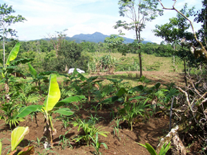 There are views of the impressive mountains south of Lake Arenal.