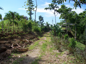 An internal road reaches the center of the acreage from the highway.