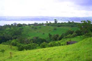 The house is a distant speck in this view from the top of the 93 acres.