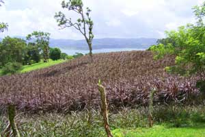 Acreage for sale at Lake Arenal, Costa Rica