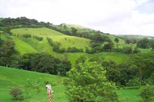 Acreage for sale at Lake Arenal, Costa Rica