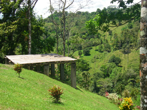 This river-viewing platform has been built on the farm's main level.