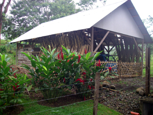 A barn is one of 3 buildings on the property In addition to the barn and the house there is a very strongly built shop building with 220 power.