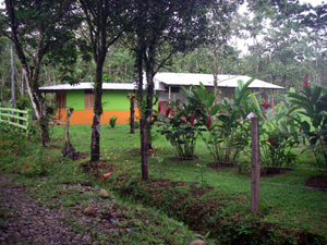 A tico house with unusually large spaces provides an immediate residence on the finca.