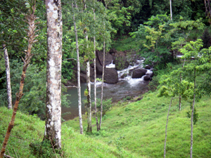 From the platform, there are wonderful views of the surrounding hills and the river below.