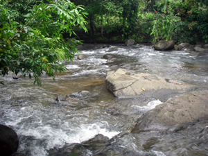 The thriving river forms a long border on the southwestern side of the ranch.