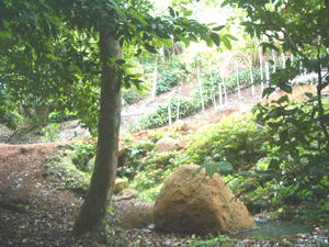 A cultivated area runs uphill near a stream.