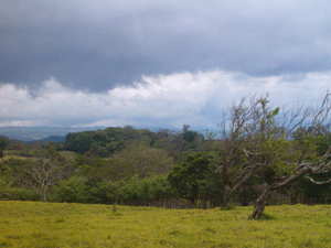 Parts of the property have magnificent views.