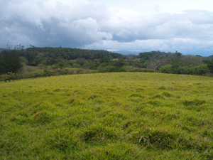 Along with much forest there are very large open spaces with wide views. 