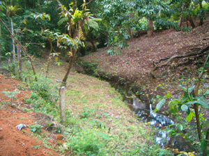 A stream runs through the property.