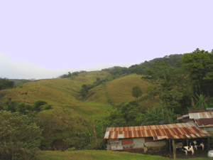 The working ranch as a variety of farm buildings for the horses and cows. 