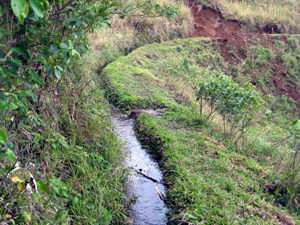 An irrigation ditch carries water along a hillside.