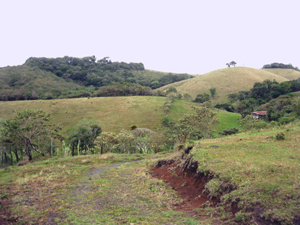 An internal road carries one deep into the 133 acres.