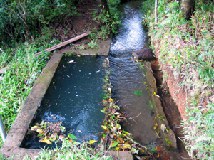 A large trough captures water from the irrigation ditch.