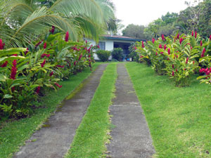 The landscaped drive leads to the small Tico home near the bottom of the 6.5-acre farm.