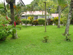 Below the house is much ornamental planting to the street.