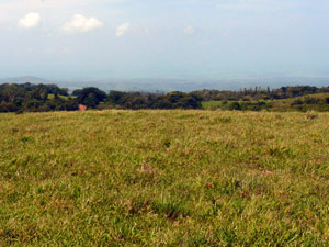 From the top of the farm there is a view of the coastal lowlands with the Temisque River system. 