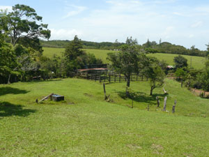 At the lower end of the farm, above the house, is a corral.