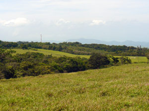 To the south, in the direction of Tierras Morenas and Tilaran, are more typical fincas with pasture and forest.