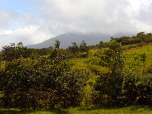 From the wide hilltop at the west end of the farm, there is this view of the dormant Tenorio Volcano, which is often partly obscured by clouds. 