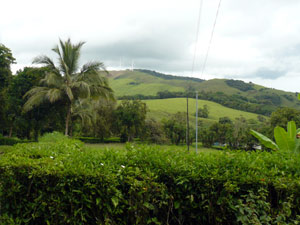 From the fine building site near the entrance to the acreage there are distant forest and mountain views.