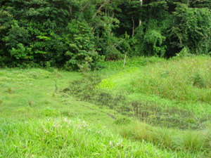 The spring rises from the earth at this pretty spot and flows to replenish the pond. 