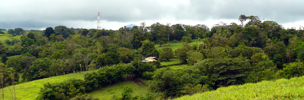 The finca retains much forest to enhance the wide vistas.