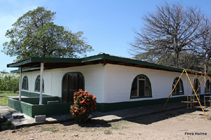 The 2409-sq-ft home is bulwarked against possible flooding.