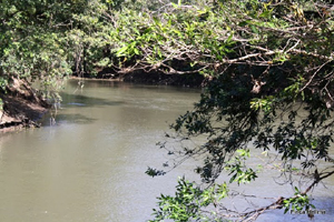 The Rio Tenorio borders the finca on the long north side.