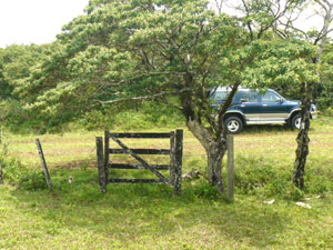 The property fronts on a secondary road to the Volcan Tenorio National Park.