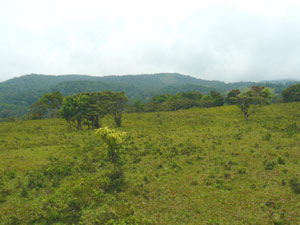 The dormant Volcan Tenorio is often a majestic presense but is here obscured by clouds while the forested foothills may still be seen.