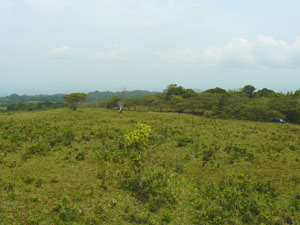 Much of the acreage is nearly level providing plenty of room for several homes and great views.