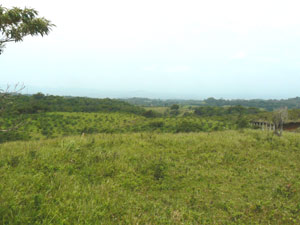 In the foreground of this southwest view is the ICE tree farm with the village of Tierras Morenas in the middle distance.