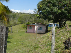 There are two small houses next to the Parcelas road. These would be perfect for an owner and workers while constructing a fine new house on the vistased hilltop.