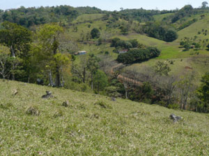 Looking back at the houses and Parcelas road from the far hill.