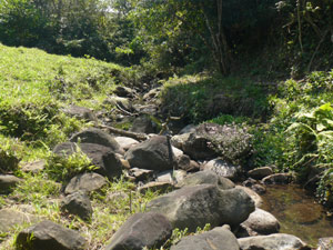 A stream meanders through the pretty mid-finca valley.