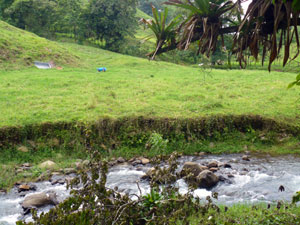 Here's lowland pasture on the far side of the river. 