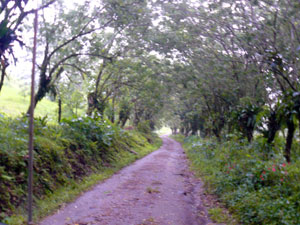 The road in from Rio Chiquito is a country treasure.