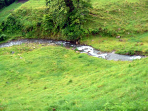 A nice view of the Rio Tigra in the valley a little upriver from the property.