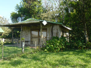 The 1 BR 1BA cabina is situated amid pleasant greenery.