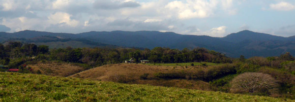 Two of the 4 structures can be seen here from the paved Sabalito road. The finca extends far to the right of the frame.