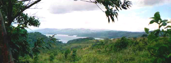 The fantastically fertile and verdant finca has a wonderful view of the northwest end of Lake Arenal.