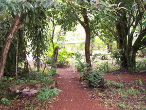 Charming pathways  wind through the gardens and woods.